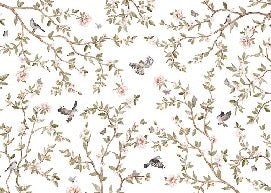 Papier peint oiseau chambre enfant, XXL, tendance