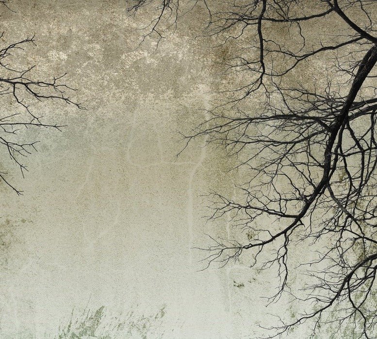 Papier peint Forêt Enchantée, XXL, tendance