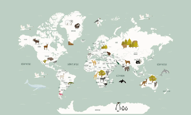 Papier peint Carte du monde en Francais enfant vert