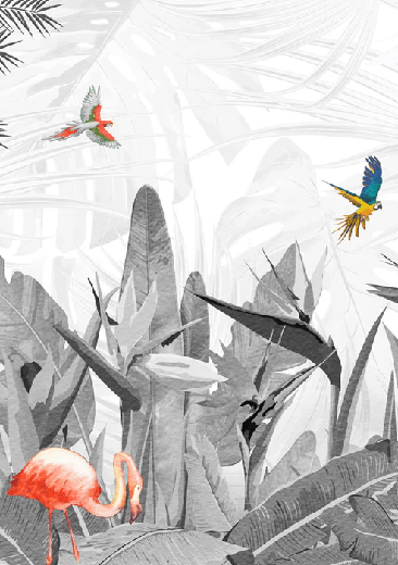 Papier peint noir et blanc oiseau du paradis