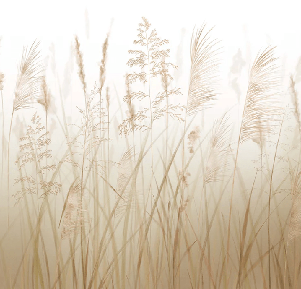 Papier peint fleur des champs de blé, XXL, tendance