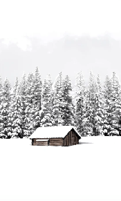 Papier peint panoramique chalet en montagne