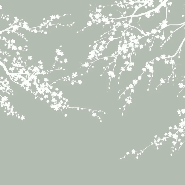Papier peint panoramique Sakura vert sauge - Muralconcept