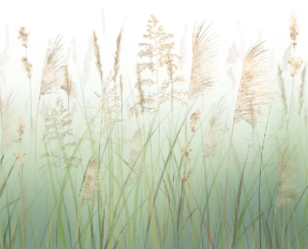 Papier peint fleur des champs de blé vert - Muralconcept