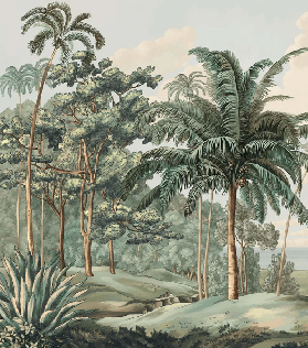 Papier peint paysage Célèbes, XXL, tendance