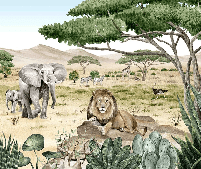 Papier peint enfant savane secrète - Muralconcept