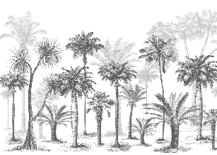 Papier peint Jungle Black & White, XXL, tendance