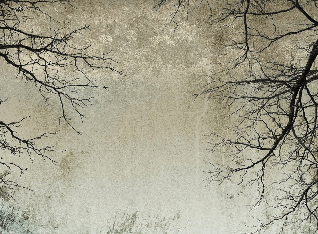 Papier peint Forêt Enchantée, XXL, tendance