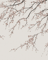 Papier peint panoramique Sakura beige - Muralconcept