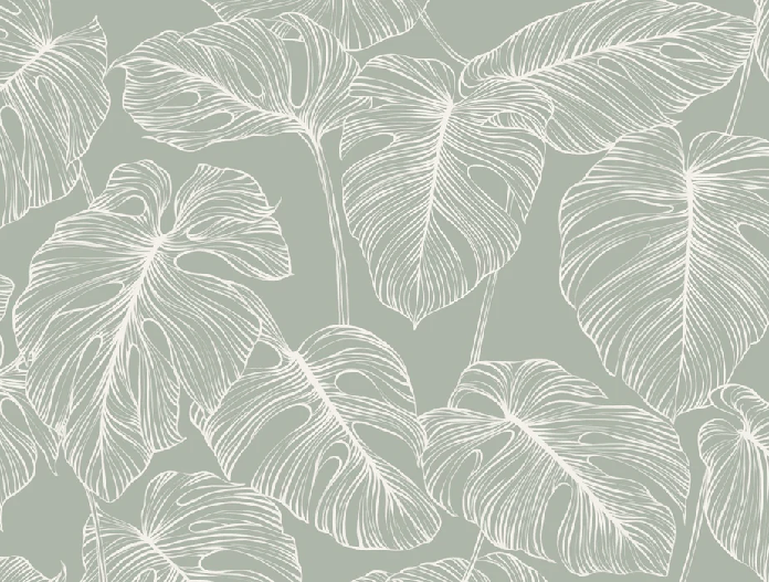 Papier peint feuille monstera sauge