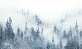 Papier peint restaurant sapin brume bleu aquarelle - Muralconcept