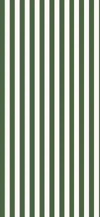 Papier peint wc rayure rétro vert jungle - Muralconcept