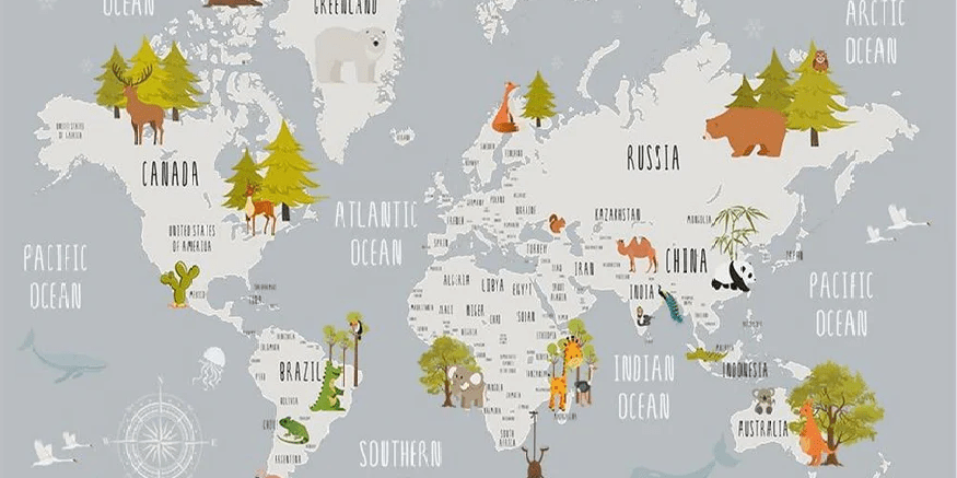 Papier peint chambre enfant map animaux gris clair, XXL, tendance