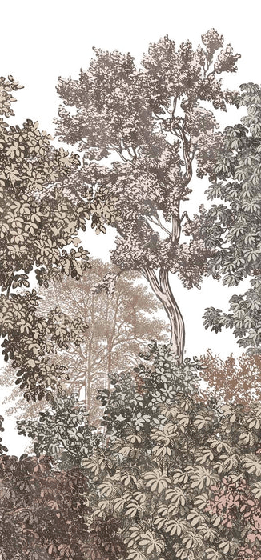 Papier peint paysage forêt gravure rosé, XXL, tendance