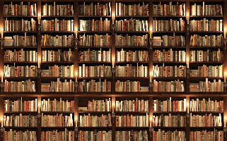 Papier peint trompe l'oeil Authentique Bibliothèque - Muralconcept