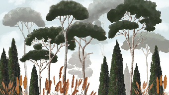 Papier peint sur mesure cyprès pins et herbes de la pampa, XXL, tendance