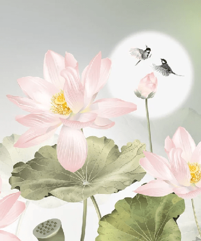 Papier peint orchidée floral romantique - Muralconcept