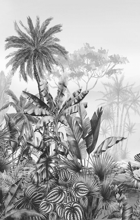 Papier peint wc tendance tropical noir et blanc - Muralconcept