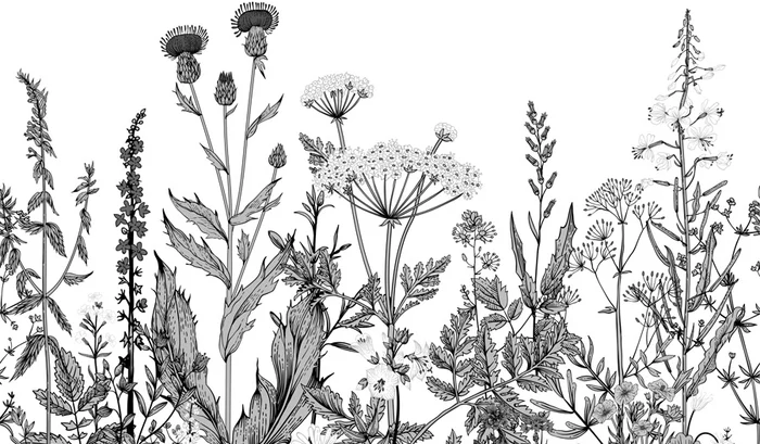 Black and white botanical folk wallpaper, XXL, tendance