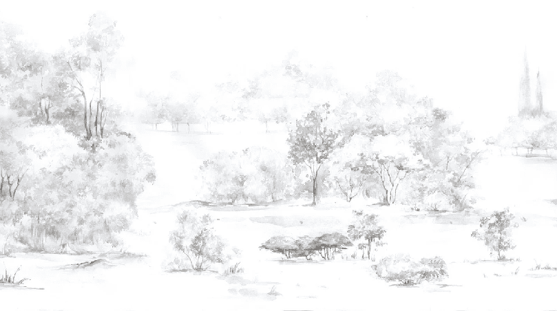 Papier peint forêt de pin aquarelle - Muralconcept