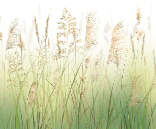 Papier peint fleur des champs de blé dégradé - Muralconcept