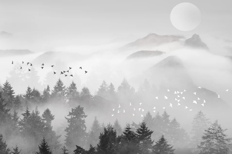 Papier peint brume mystique mountain - Muralconcept