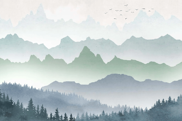 Papier peint brume matinale forêt - Muralconcept