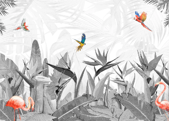 Papier peint noir et blanc oiseau du paradis