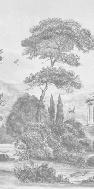 Papier peint panoramique Villa Borghese Rome – Gravure noir et blanc pins italiens - Muralconcept