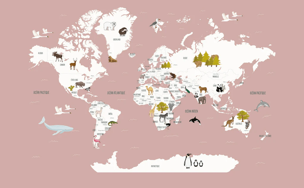 Papier peint Carte du monde en Francais enfant vieux rose