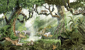 Papier peint enfant jungle secrète, XXL, tendance