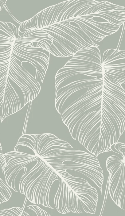 Papier peint feuille monstera sauge - Muralconcept