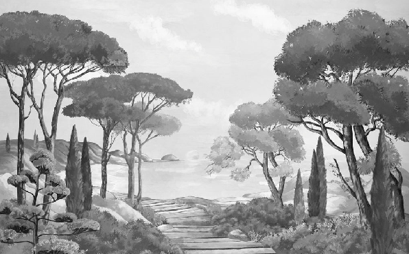 Papier peint balade dans les calanques noir et blanc - Muralconcept