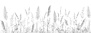 Papier peint poétique pampa - Muralconcept