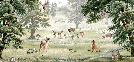 Papier peint enfant animaux et compagnie - Muralconcept
