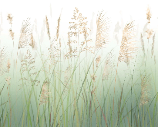 Papier peint fleur des champs de blé vert - Muralconcept