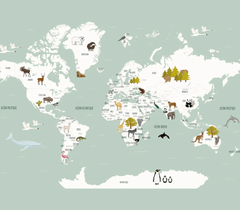 Papier peint Carte du monde en Francais enfant vert - Muralconcept