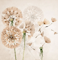 Papier peint fleur pissenlit