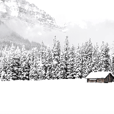 Carta da parati panoramica per chalet di montagna - Muralconcept