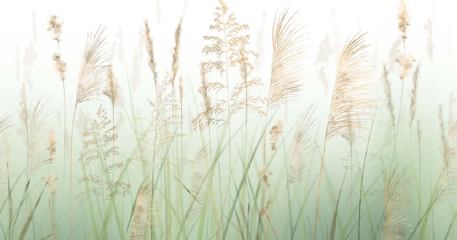 Papier peint fleur des champs de blé vert - Muralconcept