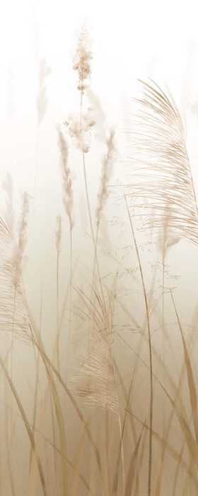 Papier peint fleur des champs de blé, XXL, tendance