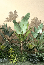 Papier peint toilette Jungle tendance indonésia - Muralconcept