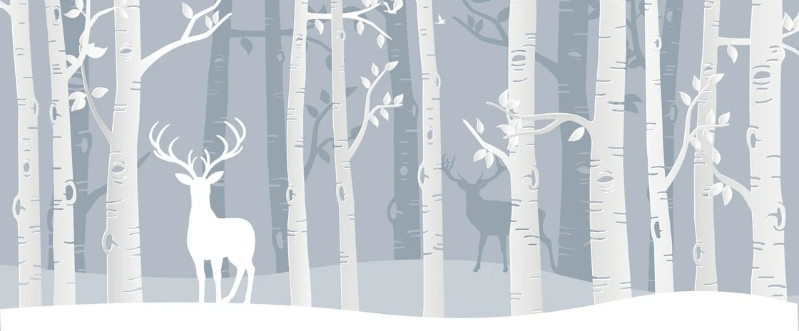 Papier peint enfant forêt scandinave bouleau et cerf - Muralconcept