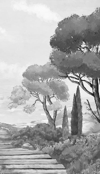 Papier peint balade dans les calanques noir et blanc