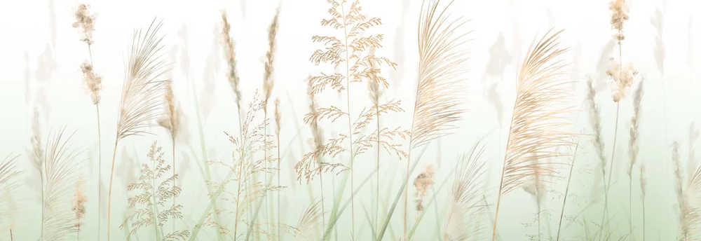 Papier peint fleur des champs de blé vert, XXL, tendance