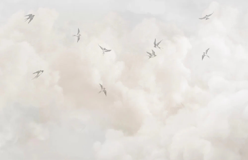 Panoramic wallpaper - Timeless sky - Muralconcept