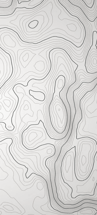Papier peint ligne topographique - Noir et blanc - Muralconcept