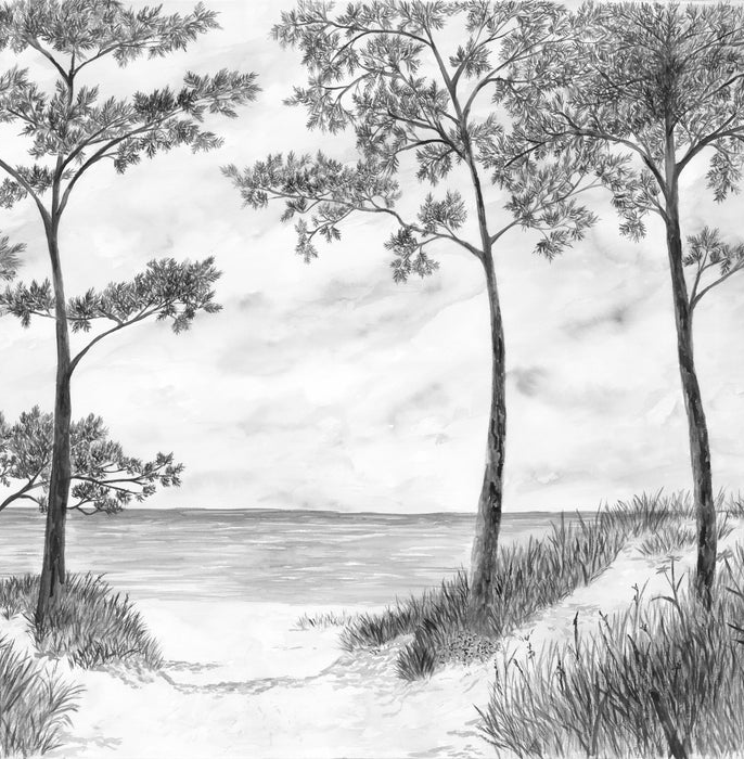 Papier peint Pins maritimes et dunes - Noir et blanc - Muralconcept
