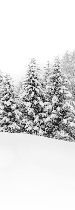 Papier peint panoramique évasion hivernale - Muralconcept