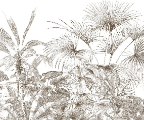 Papier peint tropical gravure monochrome, XXL, tendance